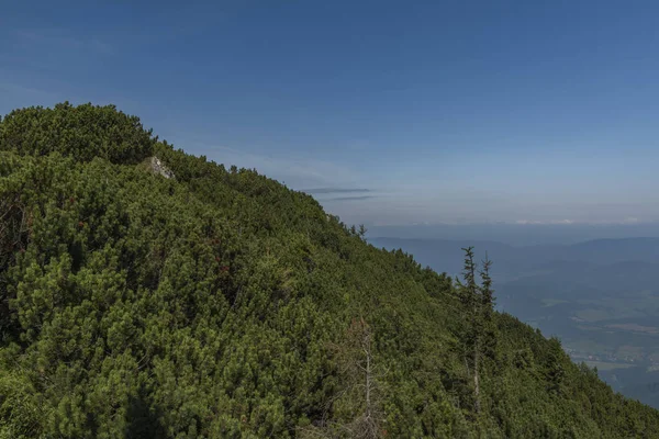 Velky Choc tepe yaz aylarında Kuzey Slovakya'da