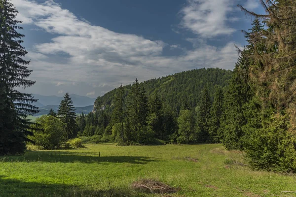 Wälder unter samtigem Choc-Hügel in der Nordslowakei im Sommer — Stockfoto