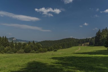 Yaz aylarında Kuzey Slovakya'da Jasenova Köyü yakınındaki Velky Choc tepenin altında çayır
