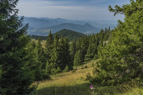 Ormanlar Velky Choc tepe yaz aylarında Kuzey Slovakya'da altında — Stok fotoğraf