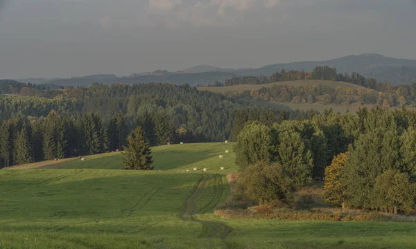 Slavkovsky les Milli Parkı akşamları