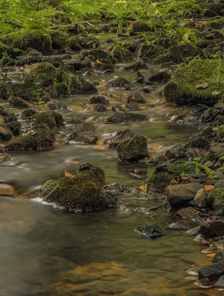 Marianske Lazne town yakınındaki Usovicky creek — Stok fotoğraf