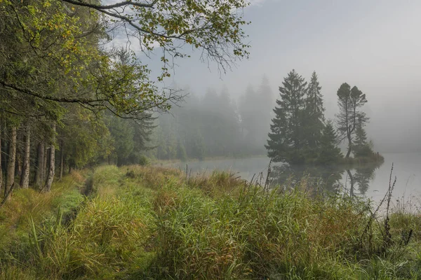 Nevoeiro da manhã perto de lagoas Bahnak na aldeia de Kladska — Fotografia de Stock