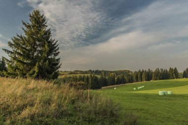 Slavkovsky les Milli Parkı akşamları