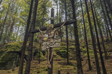 İsa haç Forest Ulusal Parkı