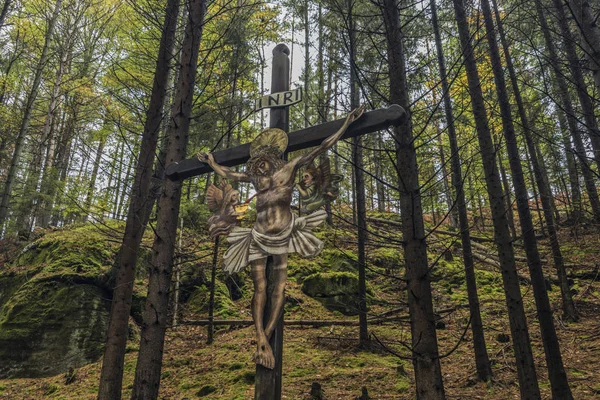 İsa haç Forest Ulusal Parkı