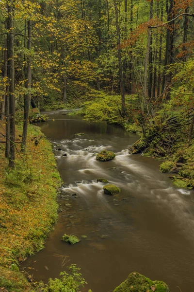 Fluss chribska kamenice im Nationalpark ceske svycarsko — Stockfoto