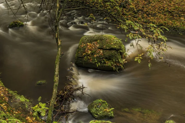 Chřibská Kamenice rzeki Parku Narodowego České terenie — Zdjęcie stockowe