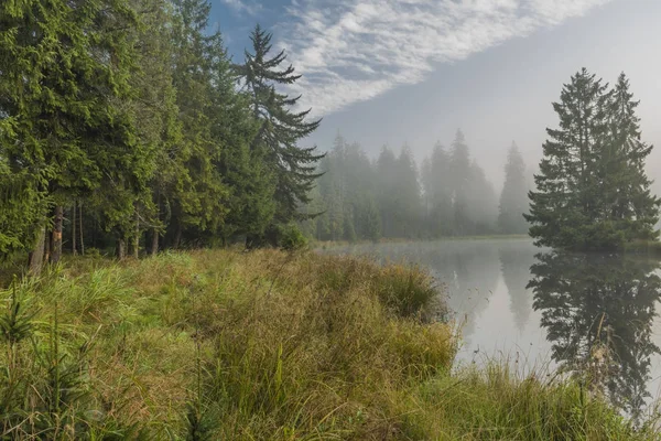 Ranní mlha poblíž pěkný prsa rybníky v Kladské vesnice — Stock fotografie