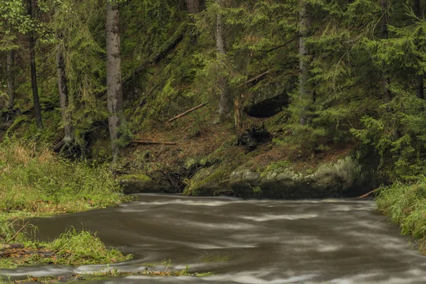 Chribska río Kamenice en el parque nacional Ceske Svycarsko —  Fotos de Stock