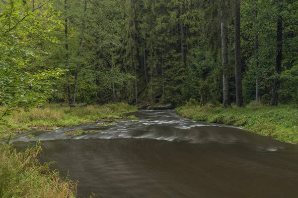 Fluss chribska kamenice im Nationalpark ceske svycarsko — Stockfoto