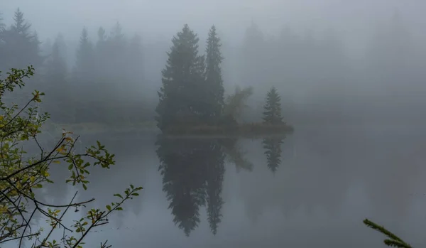 Ranní mlha poblíž pěkný prsa rybníky v Kladské vesnice — Stock fotografie