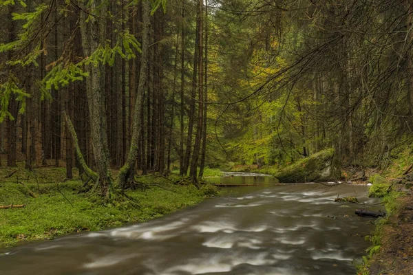 Fluss chribska kamenice im Nationalpark ceske svycarsko — Stockfoto