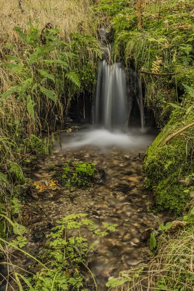 Malé lesní potok nedaleko obce Roprachtice — Stock fotografie