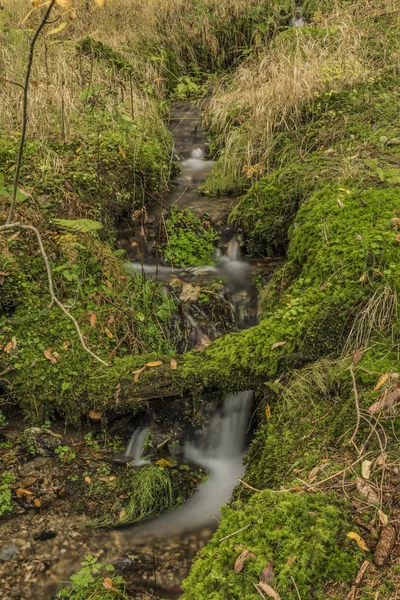 Roprachtice falu közelében kis erdei patak — Stock Fotó