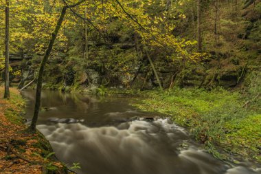 Milli Parkı Ceske Svycarsko nehirde Chribska Kamenice