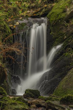 Javori şelale Javori Creek Krkonose dağlarında