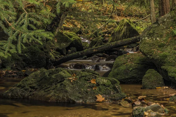 Javori Bach im Riesengebirge im Herbsttag — Stockfoto