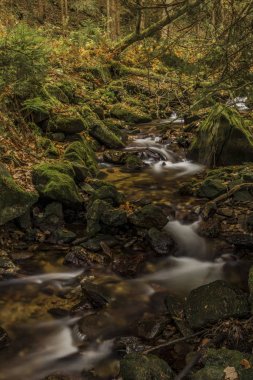 Javori creek sonbahar günü Krkonose dağlarında