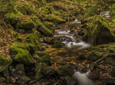 Javori creek sonbahar günü Krkonose dağlarında