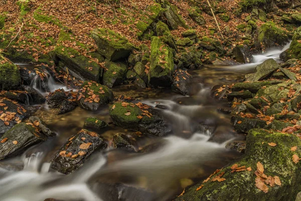Día de otoño en el río Cista en las montañas Krkonose — Foto de Stock
