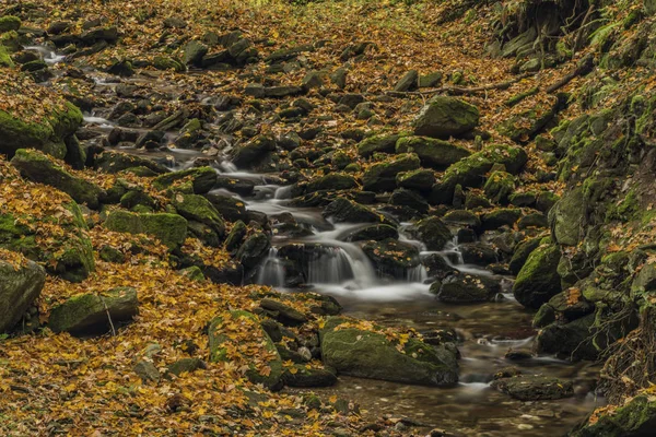 川 Cista クルコノシェ山脈の秋の日 — ストック写真