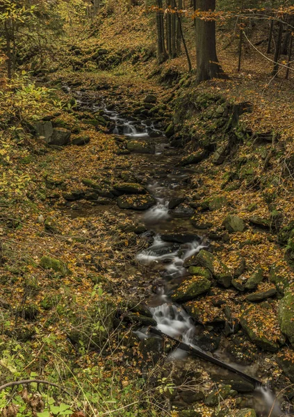 Осенний день на реке Чиста в Крконоше — стоковое фото
