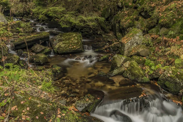 Höstdag på floden Cista i Riesengebirge — Stockfoto