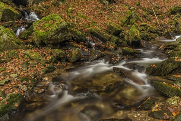 Осенний день на реке Чиста в Крконоше — стоковое фото