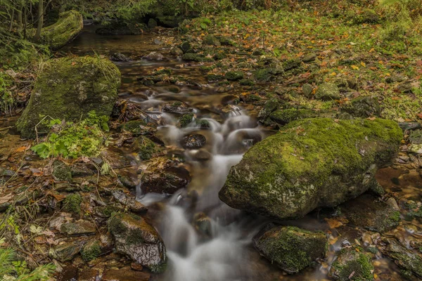 Javori creek in Krkonose bergen in herfstdag — Stockfoto