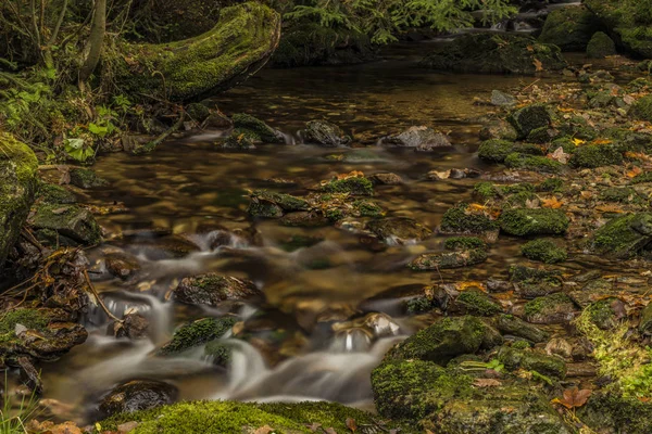 Javori riacho em montanhas Krkonose no dia de outono — Fotografia de Stock