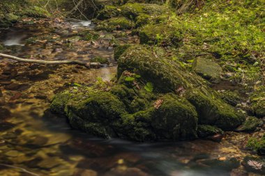 Javori creek sonbahar günü Krkonose dağlarında