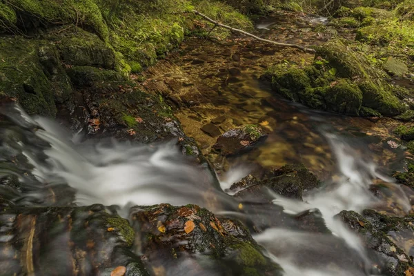 Javori potok v Krkonoších v podzimní den — Stock fotografie