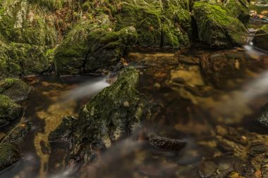 Javori creek sonbahar günü Krkonose dağlarında