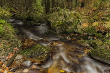 Javori creek sonbahar günü Krkonose dağlarında