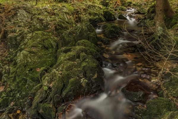 Arroyo Javori en las montañas Krkonose en el día de otoño — Foto de Stock