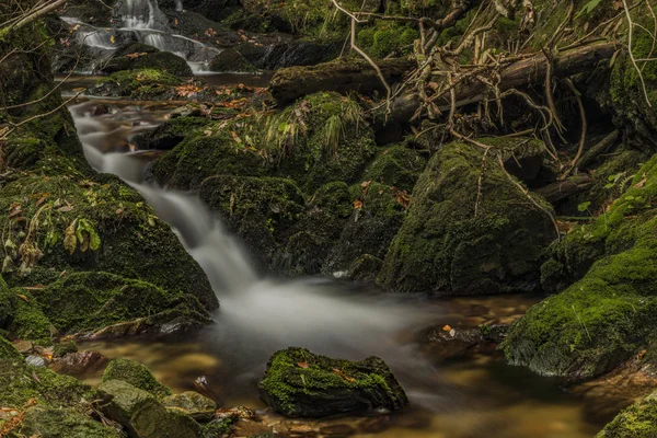 Javori potok v Krkonoších v podzimní den — Stock fotografie