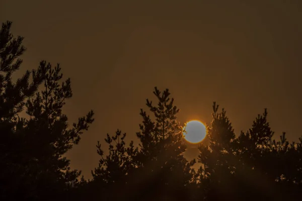 Sonnenuntergang in der Nähe von Dominova skalka in Slavkovsky les mountains — Stockfoto