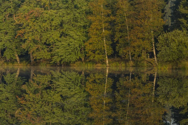 Estanque Kladska con rebote en agua en otoño por la mañana — Foto de Stock