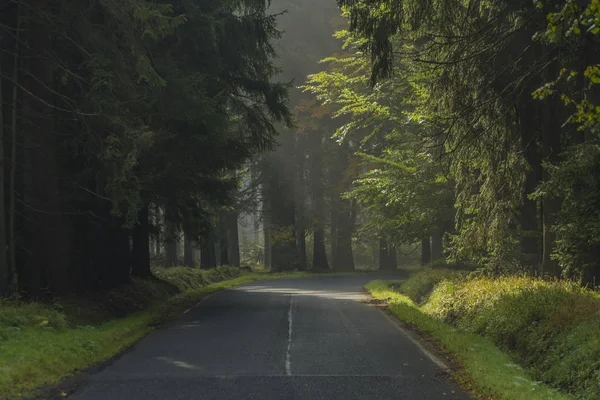 Estrada perto da aldeia de Kladska no parque nacional de Slavkovsky — Fotografia de Stock