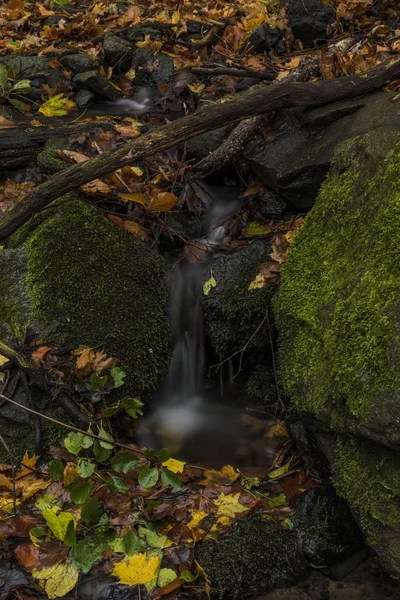 Creek de Nemecsky no vale de Prucelska na tarde de outono com folhas a cores — Fotografia de Stock