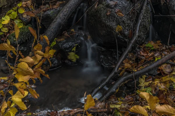 Creek de Nemecsky no vale de Prucelska na tarde de outono com folhas a cores — Fotografia de Stock