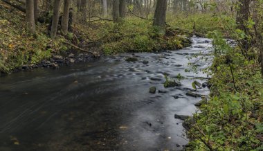 Bobri creek Ceske Stredohori dağlarında