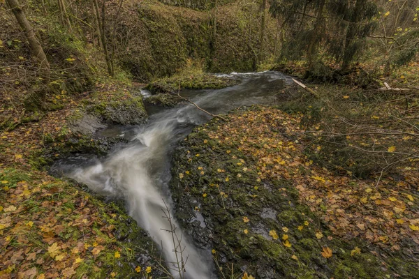 Bobri riacho perto de cachoeiras no dia de outono — Fotografia de Stock
