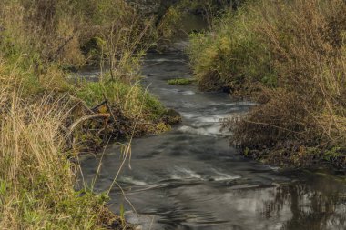 Bobri creek Ceske Stredohori dağlarında Loucky Köyü