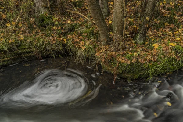 Wir w wodzie na Bobri creek w jesienny dzień — Zdjęcie stockowe