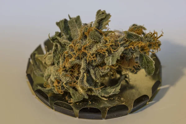 Flor seca envejecida de la marihuana medicinal AK-47 — Foto de Stock