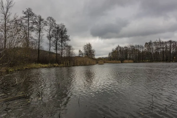 Sychrov staw w pobliżu miejscowości Horni Studenky — Zdjęcie stockowe