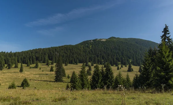 Visa i Velky Choc område i Slovakien mountains — Stockfoto