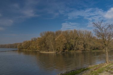 Dunaj ve Morava nehirlerinin izdiham